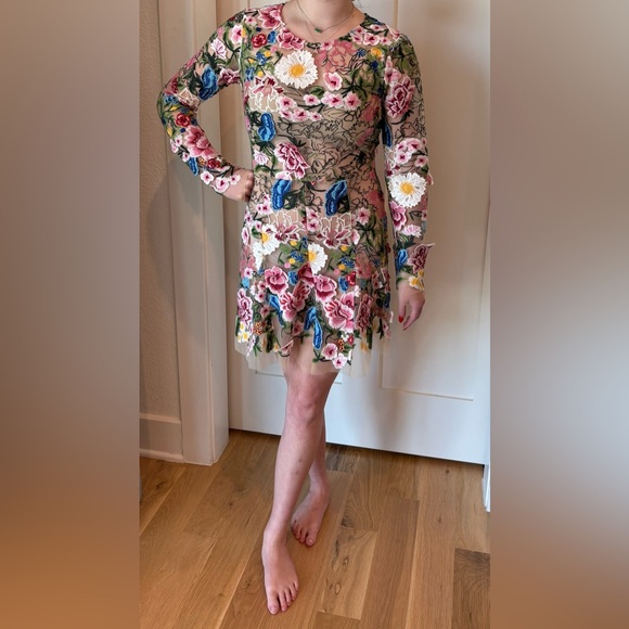NovaLuxe Marta Floral Embroidered Mini Dress - Picture 1 of 8